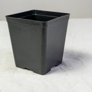 Saksija četvrtasta 9x9x10